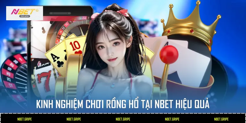 Kinh nghiệm chơi Rồng Hổ tại Nbet hiệu quả